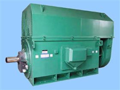 西玛牌Y3553-2 280KW 6KV中型高压电动机