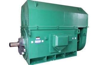 YMPS5002-10 450KW磨煤机配套封闭笼型转子高压电机